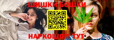 соль ск Можга