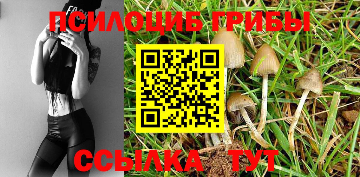Псилоцибиновые грибы MAGIC MUSHROOMS  Вход с VPN  Шатура  Галлюциногенные грибы Cubensis 
